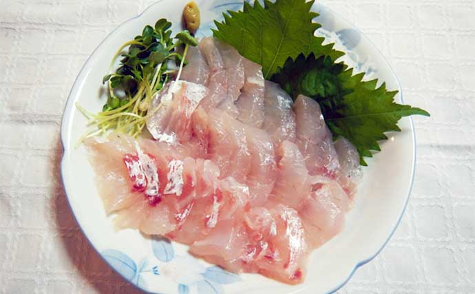愛知のタイラバ釣行で食べごろサイズのマダイ好捕　低活性に苦戦
