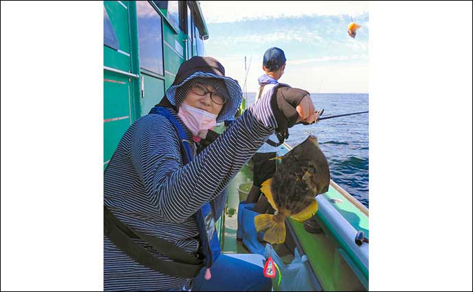 東京湾の夏カワハギ釣りシーズン好スタート　34cm頭にトップ20尾