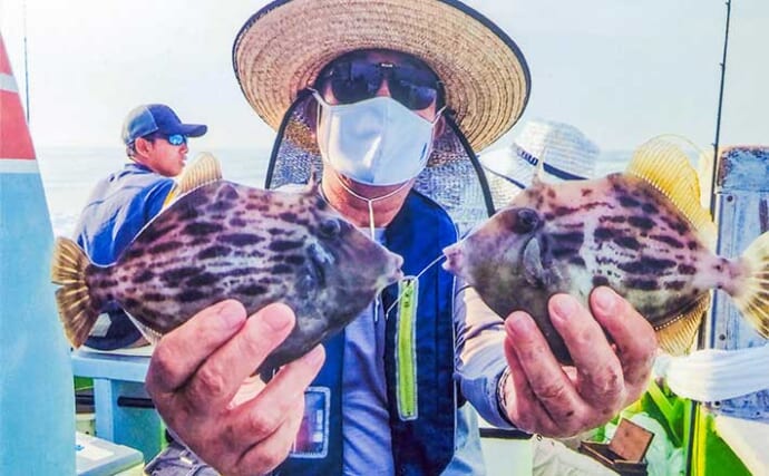 愛知の夏カワハギ釣りで本命9匹　【投げて広範囲を探る】が正解？