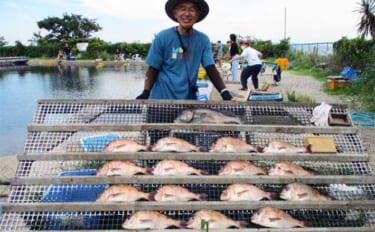 【三重・愛知】海上釣り堀最新釣果　各地でマダイ数釣り達成に笑顔
