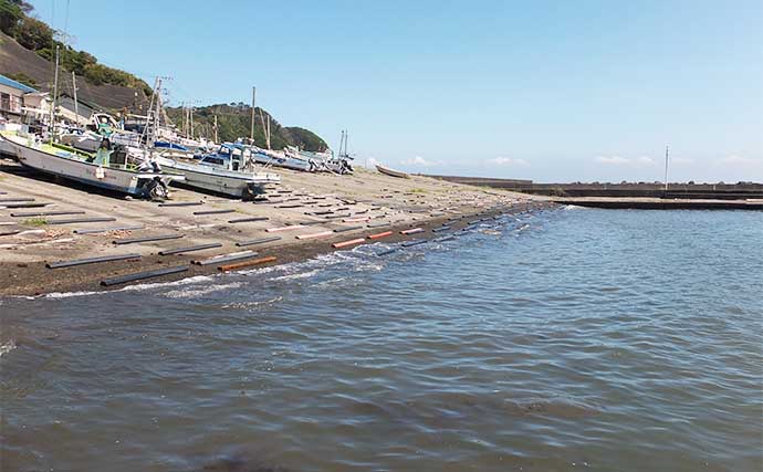 南伊豆の漁港でメッキゲーム堪能　流れ藻に苦戦するも15cm本命手中