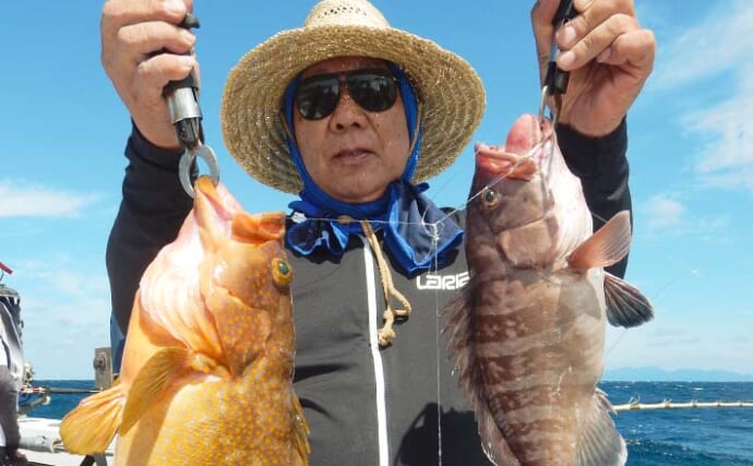 九州・響灘の落とし込み釣りで6kg級ヒラマサ好捕　ベイト量が今後の肝