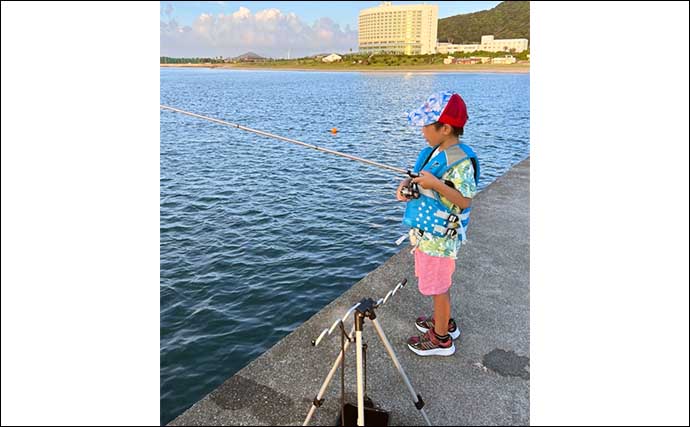愛知の堤防でのウキダンゴ釣りで43cm頭にクロダイ8匹　子供にもヒット