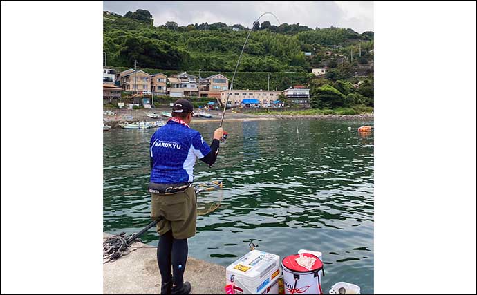 神奈川の堤防ウキダンゴ釣りで50cm「年無し」クロダイキャッチ