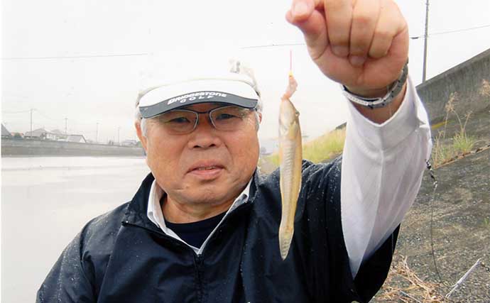 福岡のハゼ釣りで15cm頭に46尾　エサの付け方と動かし過ぎに要注意