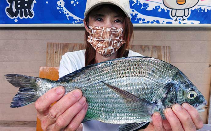 【三重】カカリ釣り最新釣果　クロダイにアジの数釣りチャンス到来