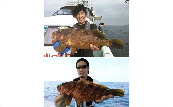 【福井・石川】沖のルアー釣り最新釣果　ジギングでブリ族に良型キジハタ