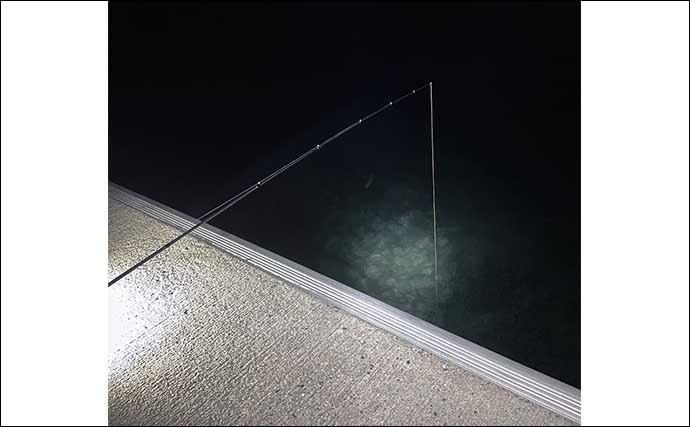 夜の堤防釣りで本命アナゴ手中　「底から5cm」が当日の当たりタナ？