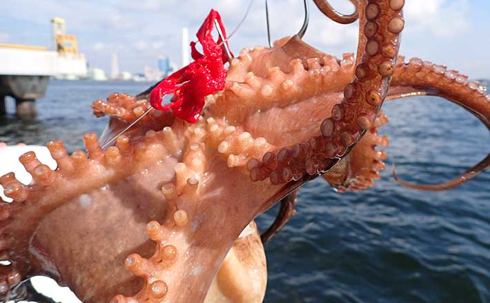 29b4726be04fa82a160da9e63085d7