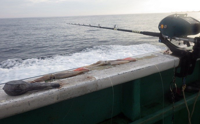 小名浜沖のアブラボウズ釣りに挑戦　想定外のゲストにカジキが登場
