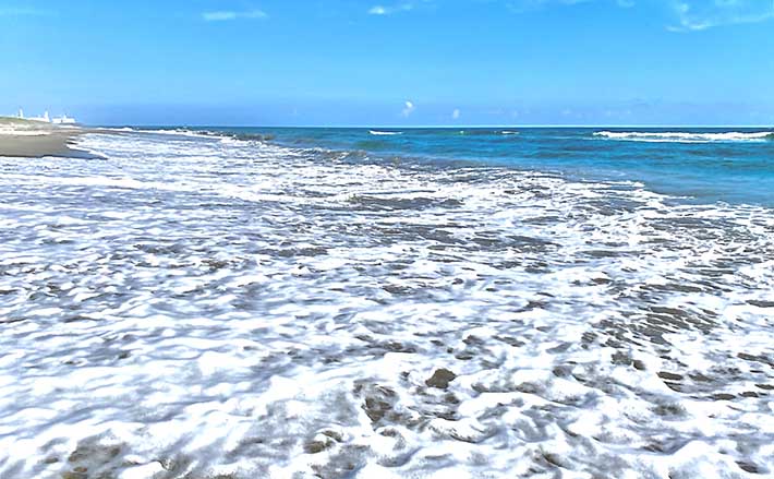 夏のサーフフィッシングを快適にする便利アイテム6選 基本装備も紹介 Tsurinews