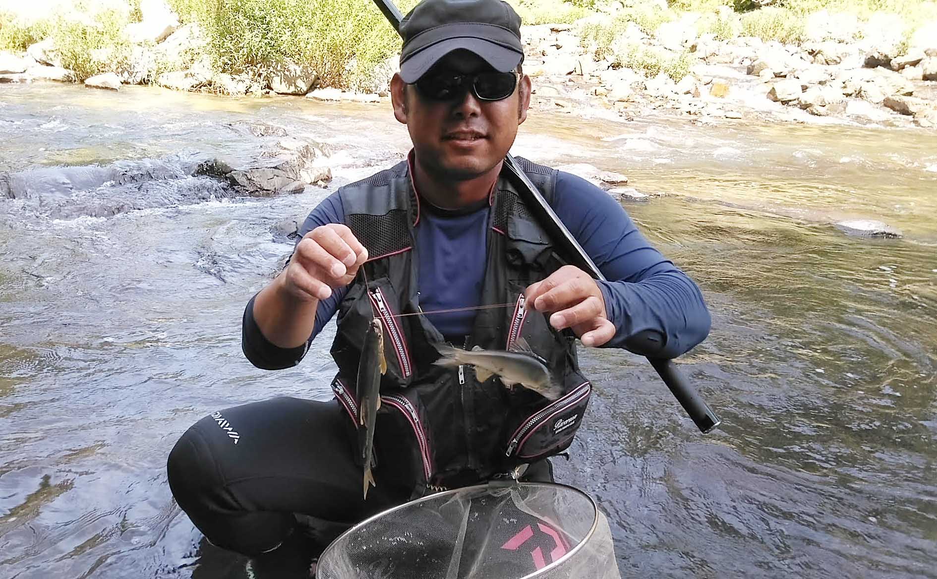都市近郊の河川でアユトモ釣り　21cm頭に良型アユ快引16匹