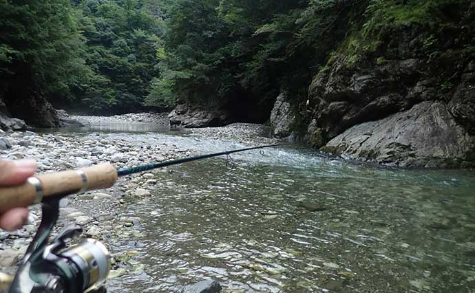 奈良・十津川村で渓流ルアー釣り　シーズン終盤に良型26cmアマゴを手中