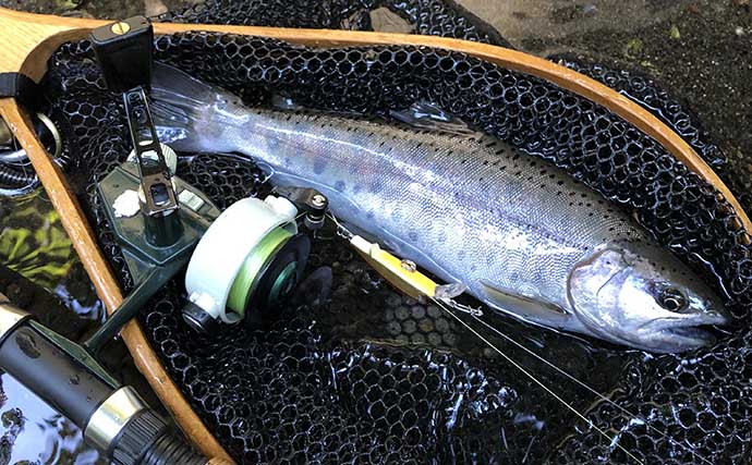 北海道の源流ルアー釣りで31cm【尺ヤマメ】獲った　大型は足で釣る？
