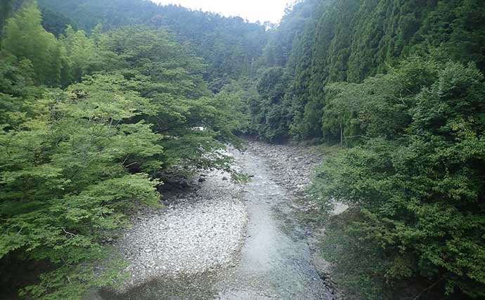 奈良・十津川村で渓流ルアー釣り　シーズン終盤に良型26cmアマゴを手中
