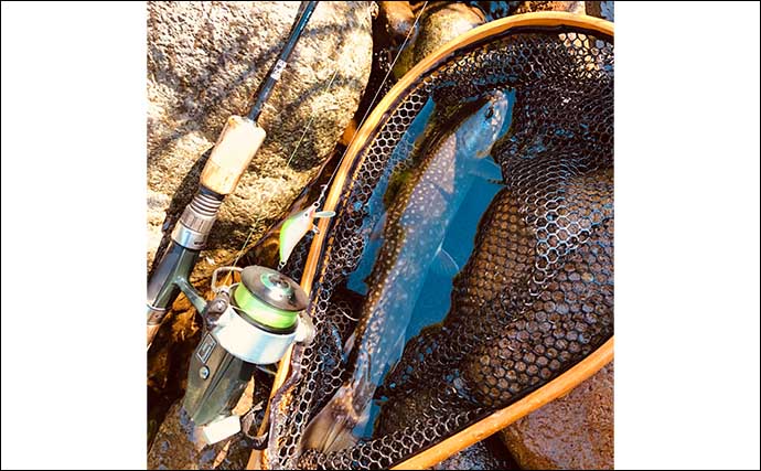 初秋の北海道・渓流ルアー釣りで44cm頭に良型渓魚が続々顔出し