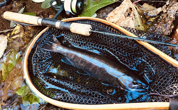 初秋の北海道・渓流ルアー釣りで44cm頭に良型渓魚が続々顔出し