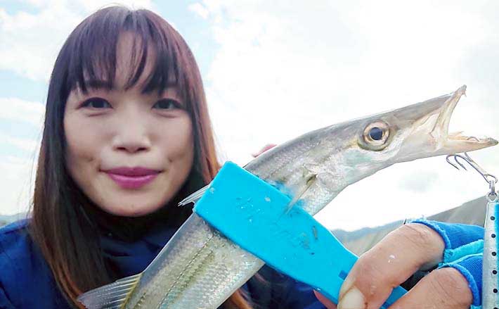 【堤防カマス釣り総合解説】　ルアー＆エサの仕掛けと釣り方を紹介