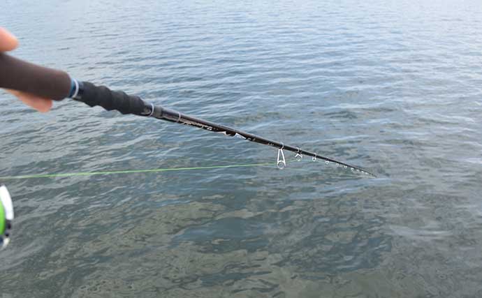 汽水湖のルアーマゴチ釣りで60cm級頭に2桁爆釣　バス用ルアーでも手中