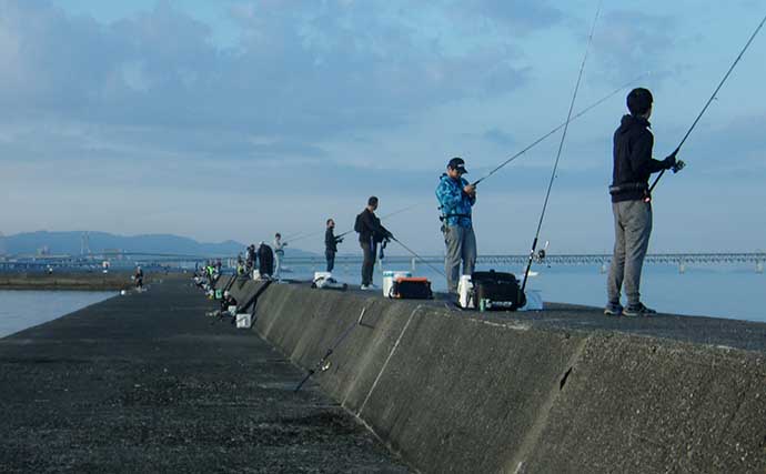 大阪湾・沖波止でのノマセ（泳がせ）釣りで45cmハマチをキャッチ