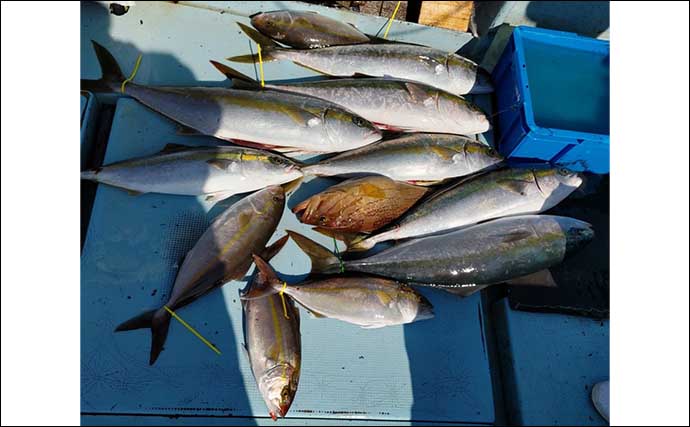 今週の『船釣り情報』特選釣果　落とし込み釣りでヒラマサにヒラメ好調