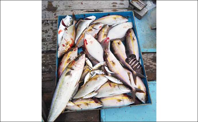【愛知】船のエサ釣り最新釣果　テンヤ釣法で大型タチウオが続々
