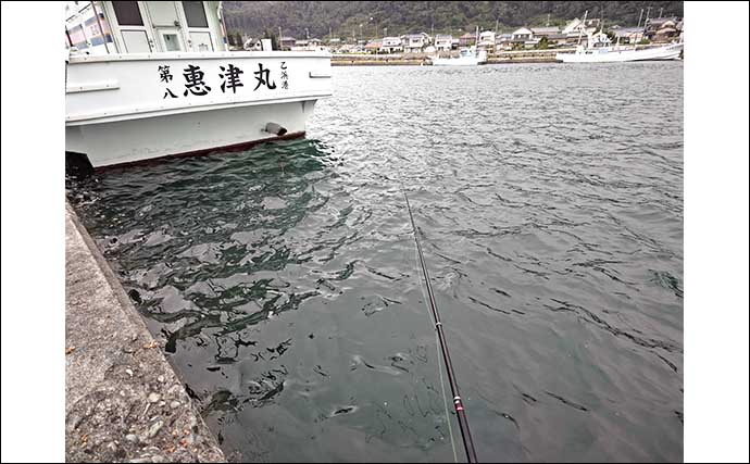 千葉・乙浜港でのフカセ釣りで39cmクロダイ　断続的な降雨に耐えて手中