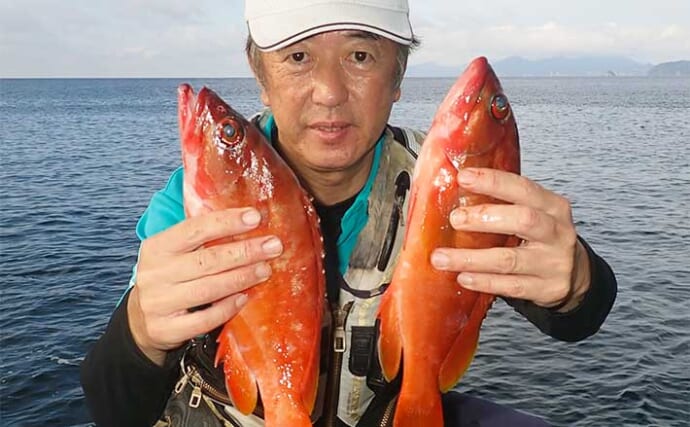鹿児島での磯釣りで良型アカハタ高活性　カゴ釣りとブッコミ釣りで手中