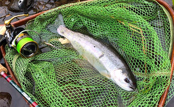 北海道ニセコの激戦区「尻別川」ルアー釣行で良型ニジマスにヤマメ登場