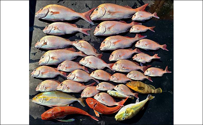 鳥羽沖タイラバ釣行で船中マダイ28匹　62cm頭に良型中心釣果に満足