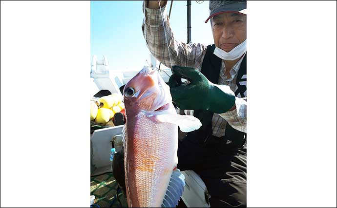 【福岡】船のエサ釣り最新釣果　13kgアラ（クエ）威風堂々