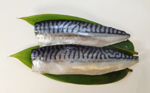 日本で食べられるサバはノルウェー産 国産サバはアフリカへ輸出の不思議 TSURINEWS