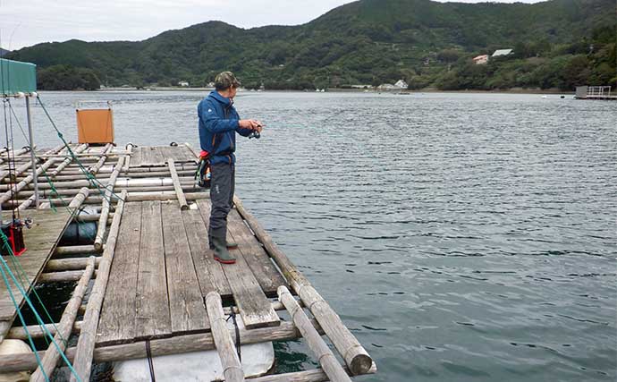 【2022年】イカダ（筏）でのライトルアー釣り入門　マゴチにメッキ登場