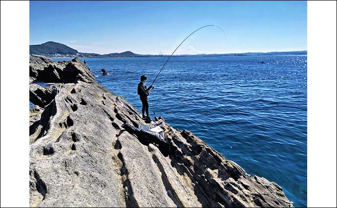 千葉の沖磯フカセ釣りで30cm級シマアジ17尾　良型メジナも手中
