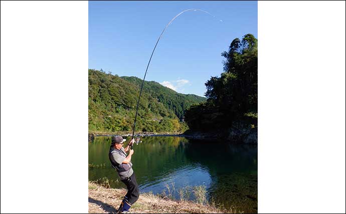 コイ（鯉）釣りのキホン　【魚の種類・生態・道具・エサ・釣り方を解説】