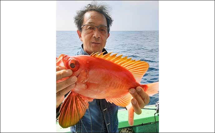【福岡】船のエサ釣り最新釣果　胴突き仕掛けの五目釣りでアマダイ好調