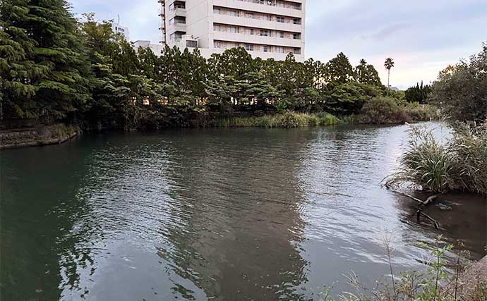 琵琶湖で「観光＋バス釣り」：守山エリア　SNS映えスポットも？