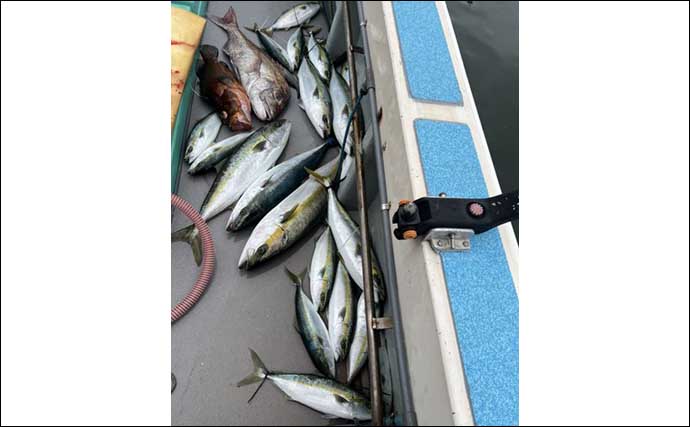 今週の『船釣り情報』特選釣果　落とし込み釣りでヒラマサにヒラメ好調