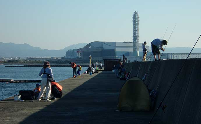 岸和田一文字での引き釣りでタチウオ1匹　前日までの高活性が一転苦戦