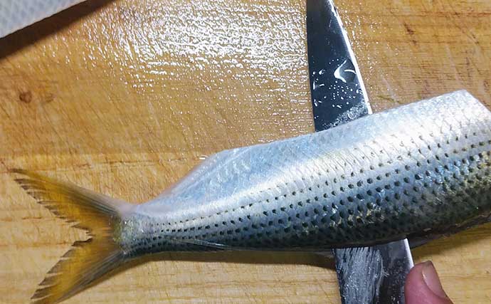 釣り人的「保存食」レシピ：コノシロの切り干し　冷蔵庫干しでもOK