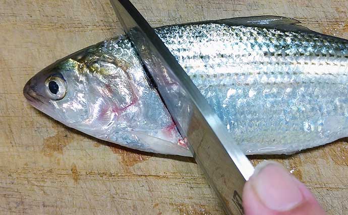 釣り人的「保存食」レシピ：コノシロの切り干し　冷蔵庫干しでもOK