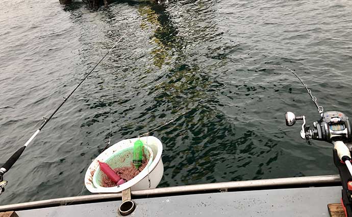 相模湾LT五目船でアジやソーダガツオを釣る方法　イナダとの違いは？