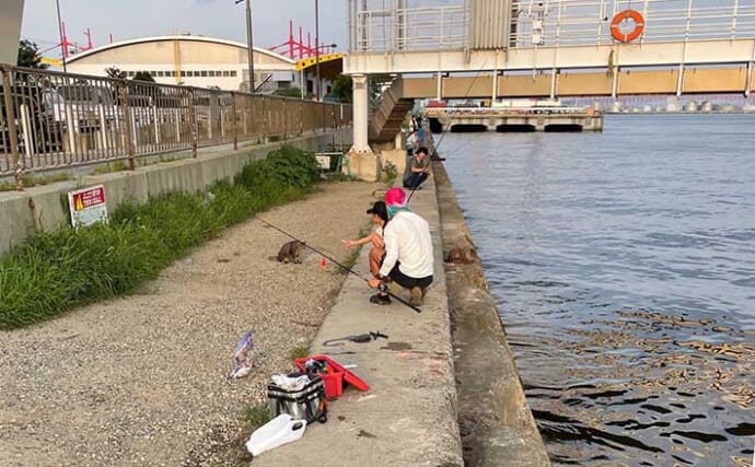 『大阪北港（夢舞大橋）』釣り場紹介　水深とシーズンごとの対象魚を解説