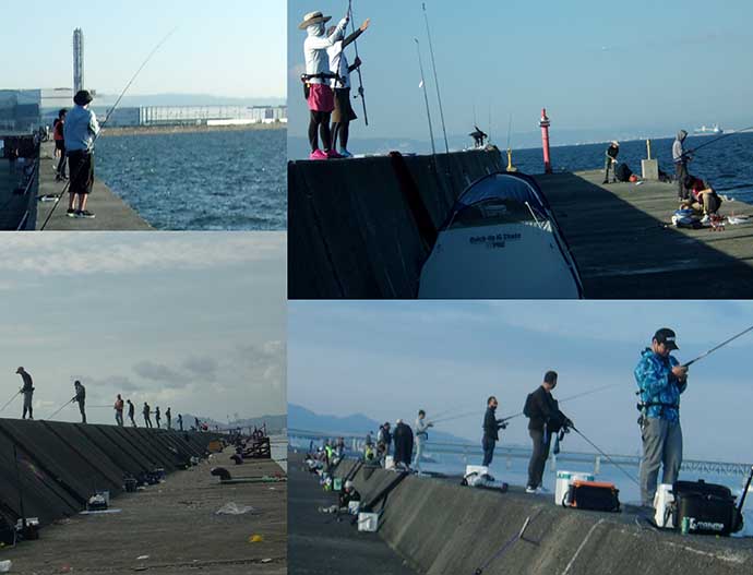 大阪・神戸エリアの沖防波堤を取り巻く問題　新たなトラブルも？