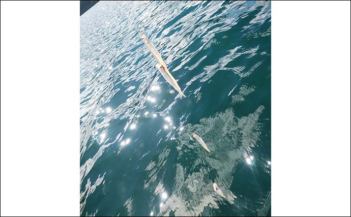 芦ノ湖ボートワカサギ釣りで本命144尾　小型中心で成長遅れ気味？