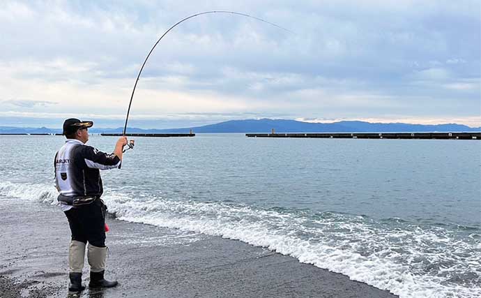 静岡のサーフでのウキダンゴ釣りで45cm頭に本命クロダイ9尾手中