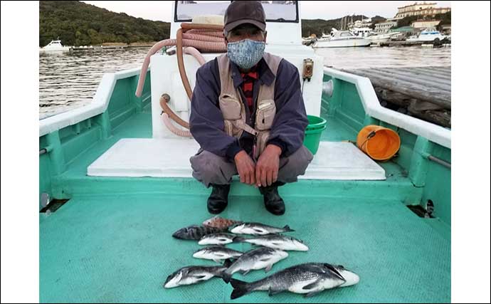 【三重】カカリ釣り最新釣果　高級魚シロアマダイがオキアミ餌にヒット