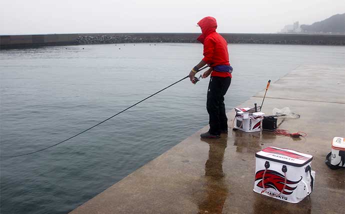 【2022年・秋】クロダイ狙い堤防フカセ釣り入門　タックル・エサ・釣り方
