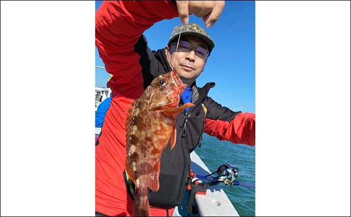 伊勢湾ウタセ五目釣りでマダイに良型カワハギ　へダイの入れ食いタイムも