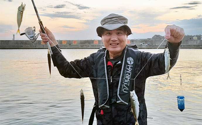 福井の堤防サビキ釣りでアジ200匹オーバー爆釣　朝の時合いに連発